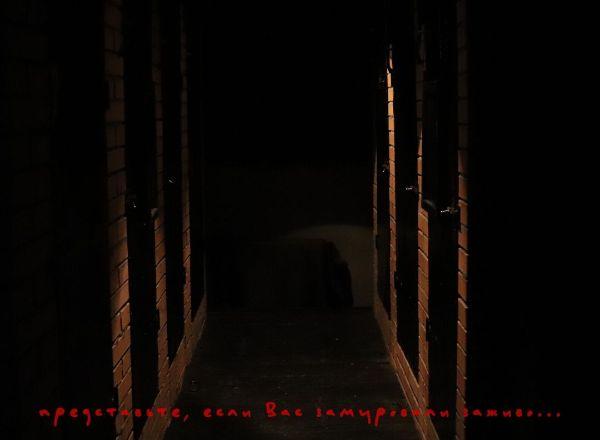 перформанс Замурованный заживо в Владимире